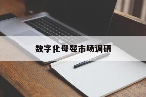 北海市数字化母婴市场调研(数字化母婴市场调研报告)