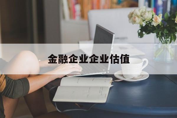 北海市金融企业企业估值(最新企业估值怎么填)